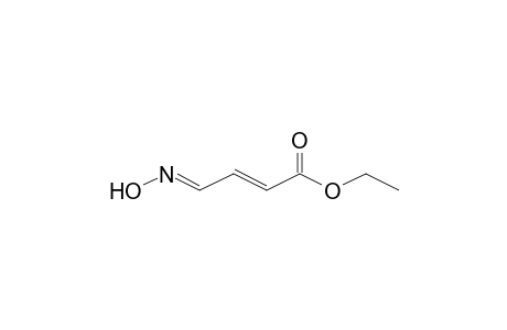 4-Hydroxyimino-but-2-enoic acid, ethyl ester