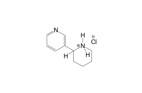 piperidinium, 2-(3-pyridinyl)-, chloride, (2S)-