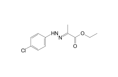 pyruvic acid, ethyl ester, p-chlorophenylhydrazone