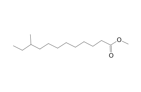 Dodecanoic acid, 10-methyl-, methyl ester