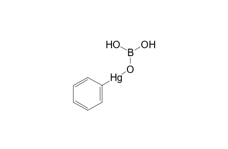 PHENYLMERCURIC BORATE