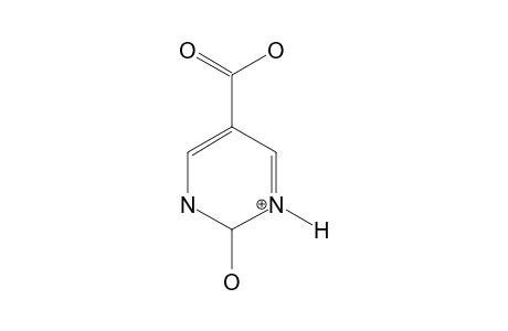 PYRIMIDINE-5-CARBOXYLIC-ACID-2-HYDRATE