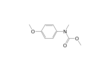 Desmedipham-M/artifact 3ME        @