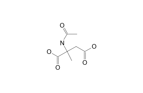 dl-2-Acetamido-2-methylsuccinic acid