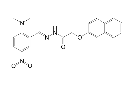 N-[(E)-[2-(dimethylamino)-5-nitro-benzylidene]amino]-2-(2-naphthoxy)acetamide