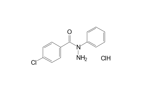 p-chlorobenzoic acid, 1-phenylhydrazide, monohydrochloride