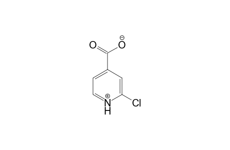 2-Chloroisonicotinic acid