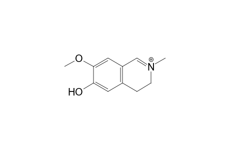 6-Hydroxy-7-methoxy-2-methyl-3,4-dihydroisoquinolinium