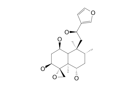 CORNUTIN-C