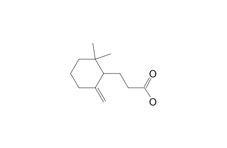 3-(2,2-Dimethyl-6-methylenecyclohexyl)propanoic acid