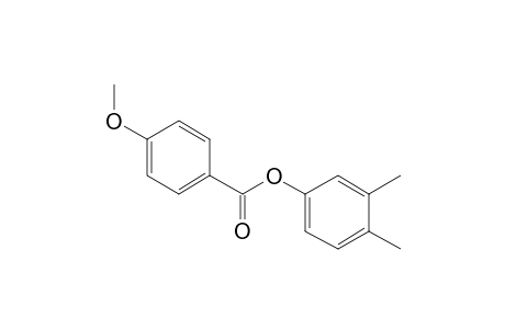 4-Methoxybenzoic acid, 3,4-dimethylphenyl ester