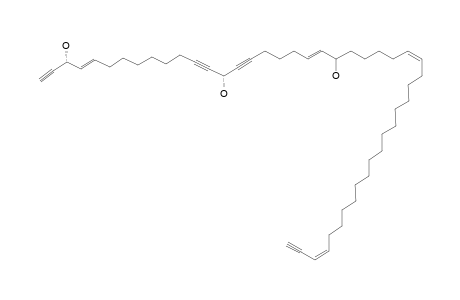 PETROCORTYNE_F