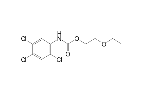 2,4,5-trichlorocarbanilic acid, 2-ethoxyethyl ester