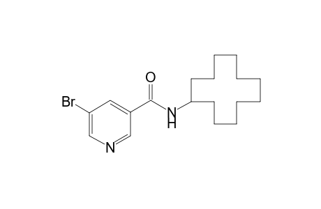 5-Bromo-N-cyclododecyl-nicotinamide