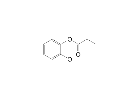 1,2-Benzenediol, o-isobutyryl-