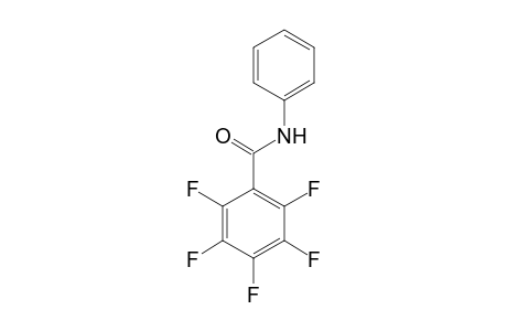 Trans-(N-phenyl-pentafluorobenzamide)