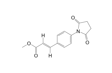 trans-p-succinimidocinnamic acid, methyl ester