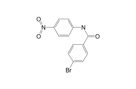 Benzamide, 4-bromo-N-(4-nitrophenyl)-