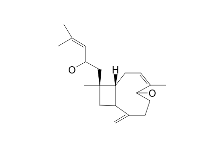 XENIAPHYLLENOL B