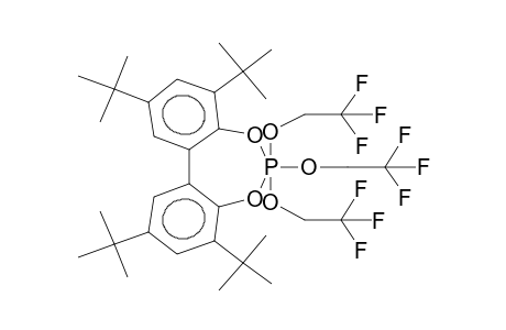 2,4,8,10-TETRA-TERT-BUTYL-6,6,6-TRIS(2,2,2-TRIFLUOROETHOXY)-DIBENZO[D,F][1,3,2]-DIOXAPHOSPHEPIN