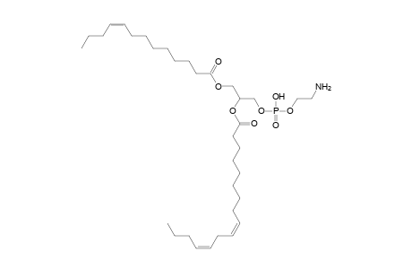 PE 13:1_16:2