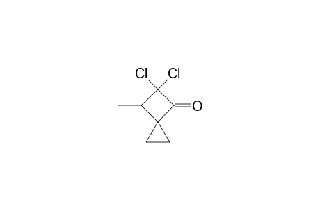 5,5-bis(chloranyl)-4-methyl-spiro[2.3]hexan-6-one