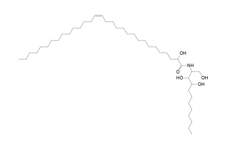 Cer 12:0;3O/31:1;(2OH)