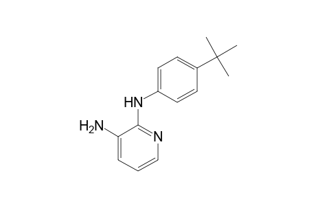 3-AMINO-2-(p-tert-BUTYLANILINO)PYRIDINE