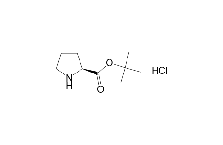 L-Proline tert-butyl ester hydrochloride