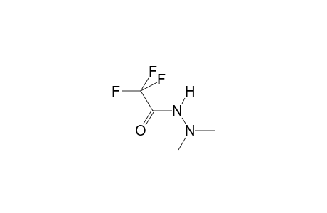 (E)-1-TRIFLUOROACETYL-2,2-DIMETHYLHYDRAZINE