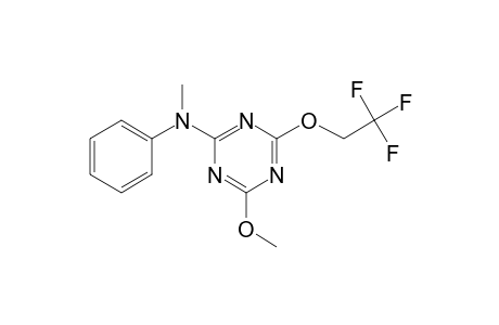 4-methoxy-N-methyl-N-phenyl-6-(2,2,2-trifluoroethoxy)-1,3,5-triazin-2-amine