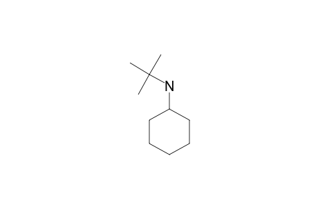 N-tert-butylcyclohexylamine