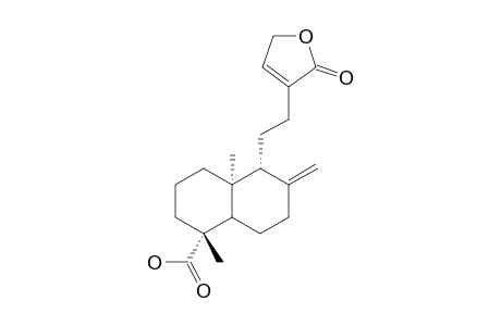 8(17),13-ENT-LABDADIEN-15->16-LACTONE-19-OIC-ACID