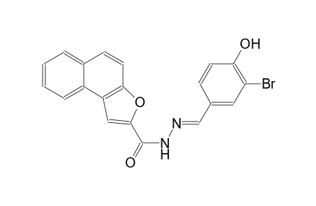 N'-[(E)-(3-bromo-4-hydroxyphenyl)methylidene]naphtho[2,1-b]furan-2-carbohydrazide