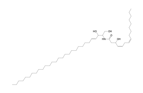 Cer 29:1;2O/16:2;(3OH)