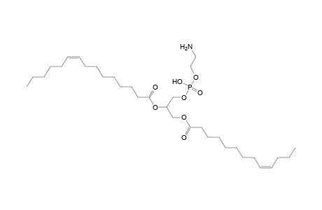 PE 13:1_15:1