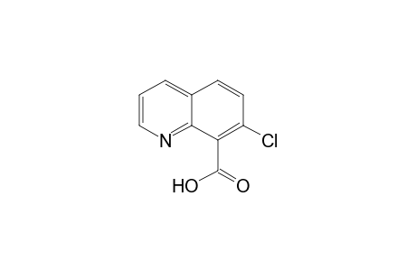7-Chloro-quinoline-8-carboxylic acid