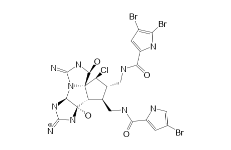 NAGELAMIDE_O