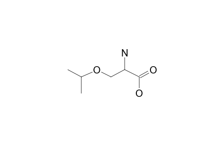 3-Isopropoxy alanine