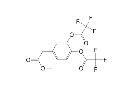 Dihydroxyphenylacetic acid ME2TFA
