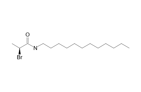 (S)-(-)-N-dodecyl-2-bromopropionamide