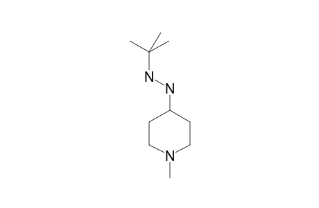 4-(2-Tert-butylhydrazin-1-yl)-1-methylpiperidine