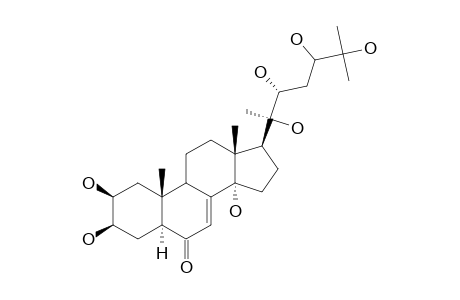 ABUTASTERONE