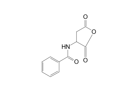 2-benzamidosuccinic anhydride