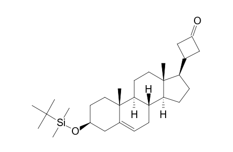 3-BETA-(TERT.-BUTYLDIMETHYLSILYLOXY)-24-NOR-21,23-CYCLOCHOL-5-EN-23-ONE