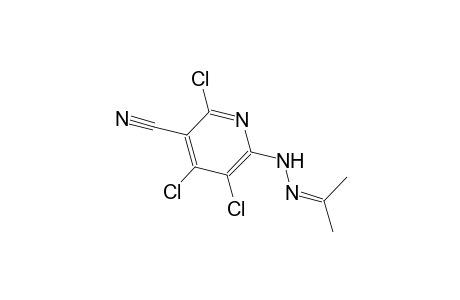 2,4,5-trichloro-6-[2-(1-methylethylidene)hydrazino]nicotinonitrile