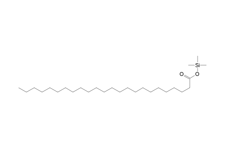 Tetracosanoic acid, trimethylsilyl ester