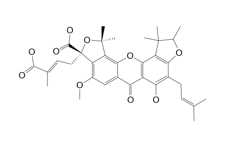 SCORTECHINONE_V;1-HYDROXY-7-METHOXY-2',2'-DIMETHYL-5'-CARBOXY-5'-(3-CARBOXYBUT-2-ENYL)-FURANO-(3',4':5,6)-2-(3-METHYLBUTYL-2-ENYL)-4'',4'',5''-TRIMETH