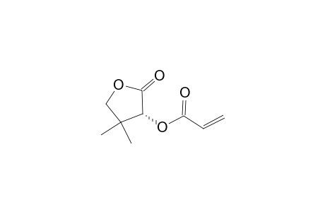 (R)-alpha-Acryloyloxy-beta,beta-dimethyl-gamma-butyrolactone