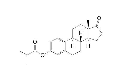 Estrone, 2-methylpropionate